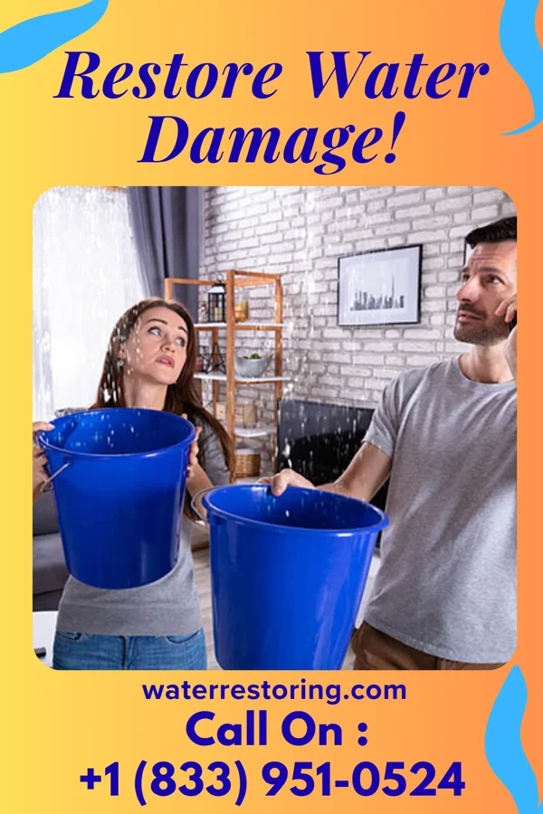 water restoration Patriot Flood Damage Specialists Bayard