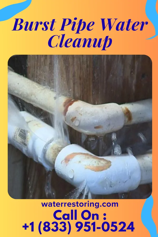 Burst Pipe Water Cleanup in Bayard, IA