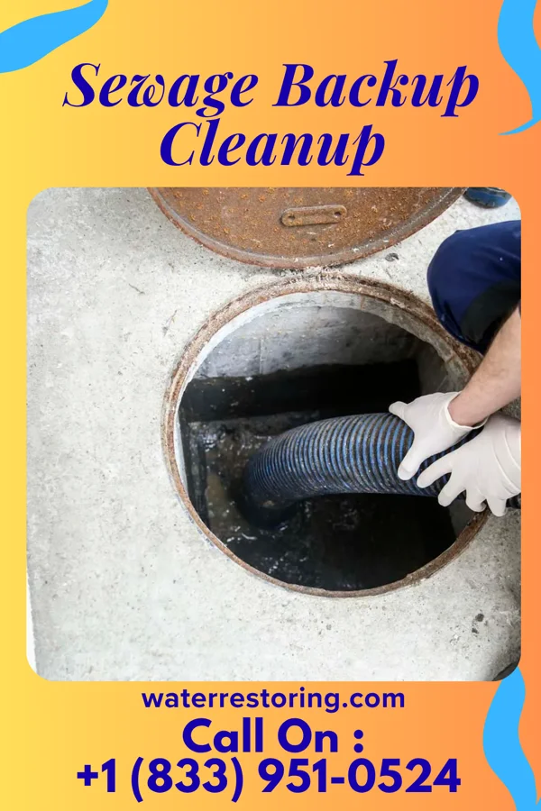 Sewage Backup Cleanup in Bayard, IA