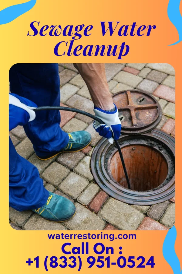 Sewage Water Cleanup in Bayard, IA